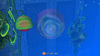 Soap_bubble_s.jpg