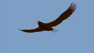 bb_fly_photo1.jpg