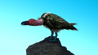 condle_test0.jpg