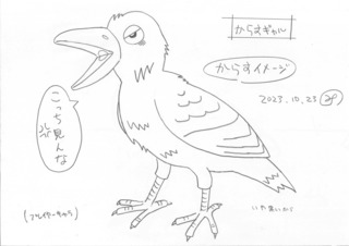 crow_0.jpg