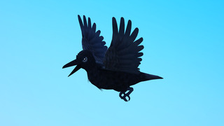 crow_photo2.jpg