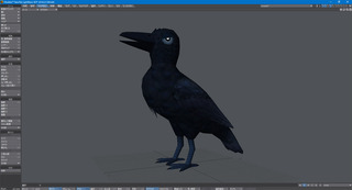 crow_test.jpg