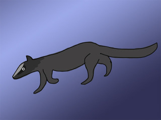 test.jpg